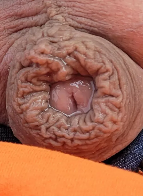 A request asking me for a closeup of my dick head with precum coverd by my foreskin while soft. 🤔 it's a weird request? I feel vulnerable🥺 by show_and_tell_123
