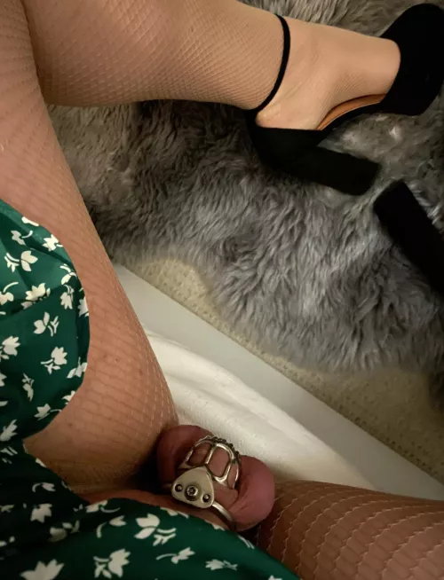 Do you like my new cage? by chloe_taylor_