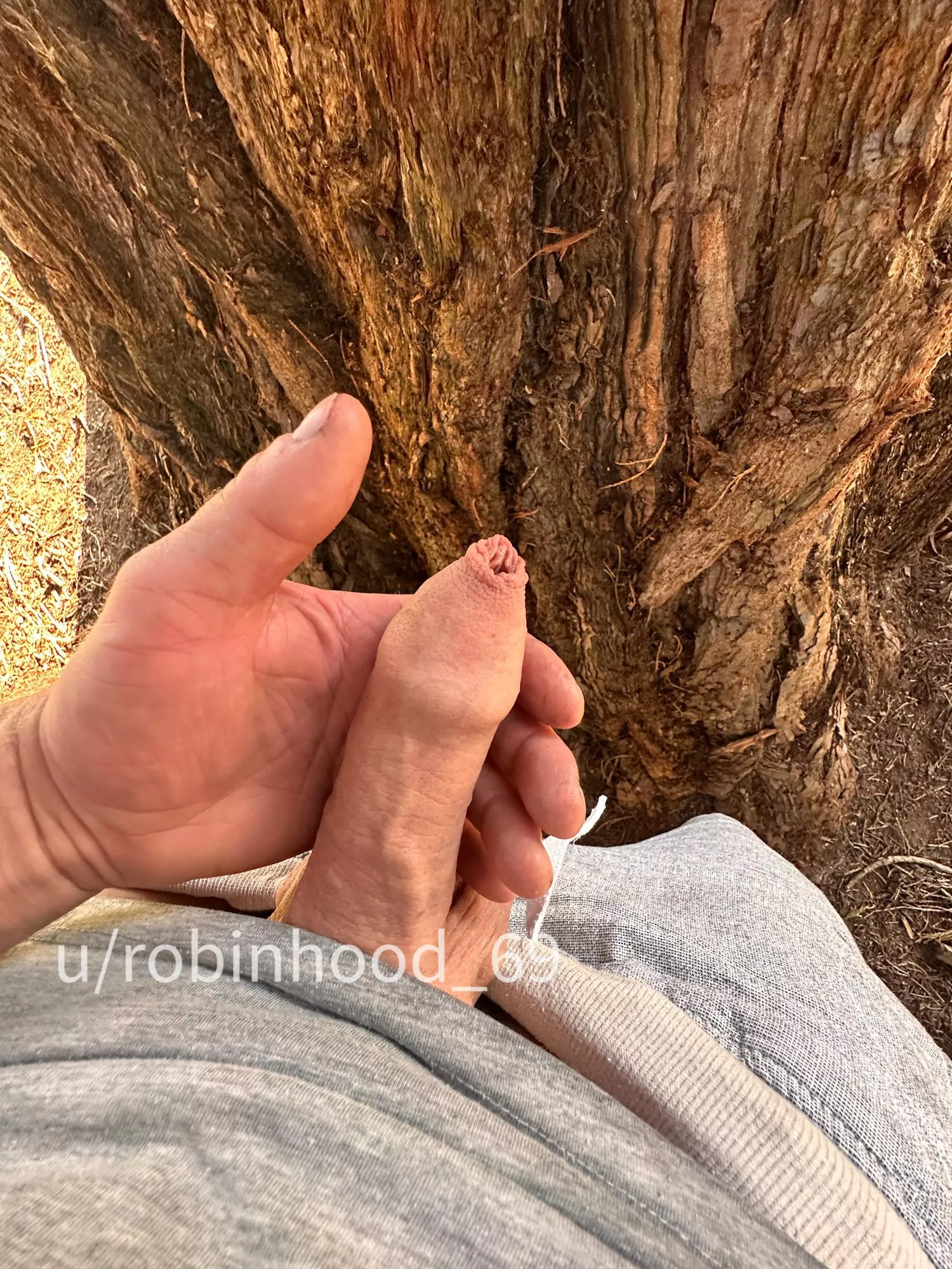Foreskin my penis posted by Robinhood_69
