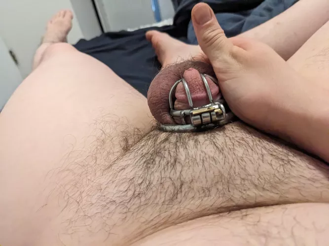 I'm locked up until sometime in September by quillbilly21