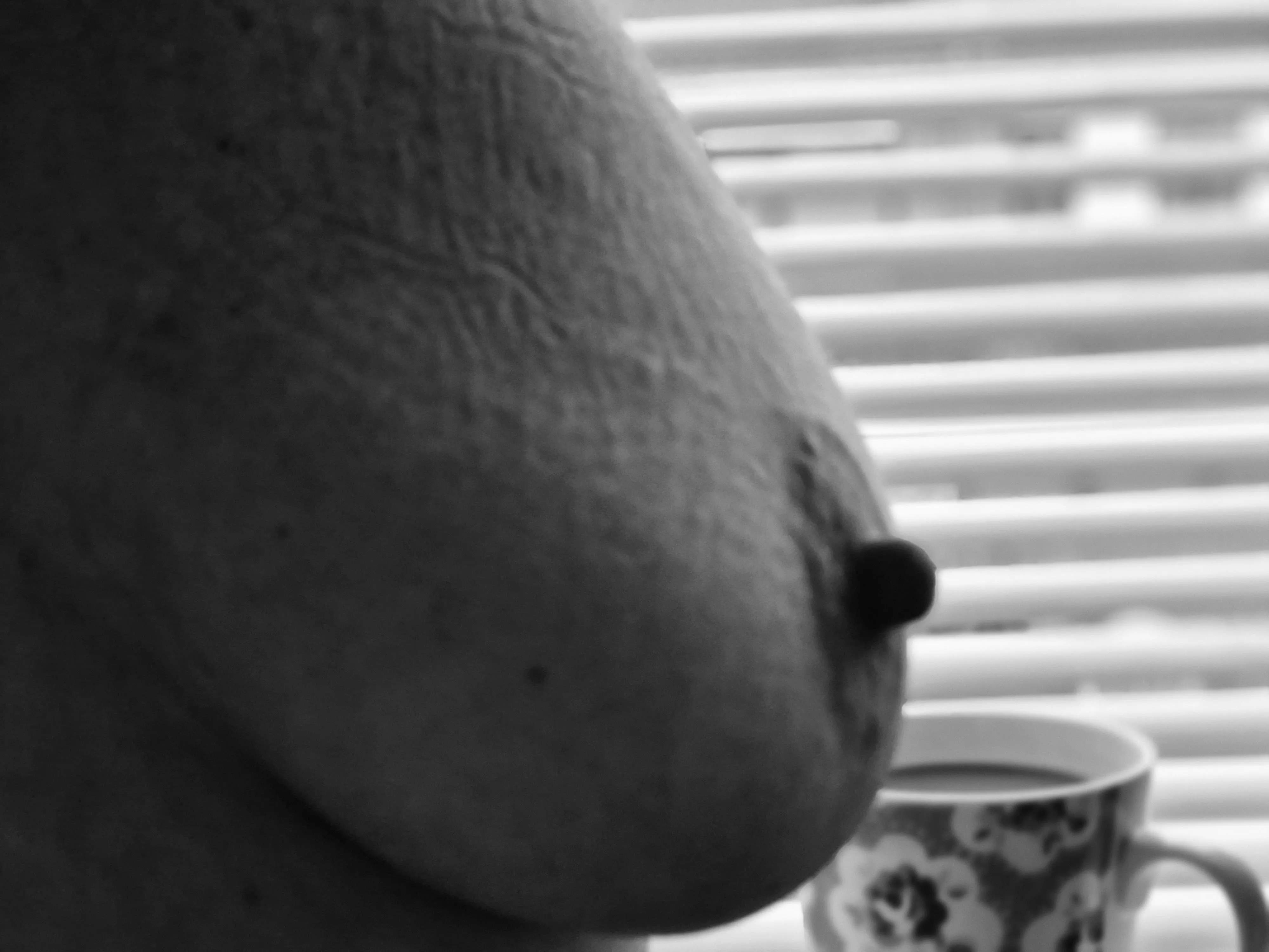 It's Tuesday, please find your scheduled reminder. posted by suchabadpenny