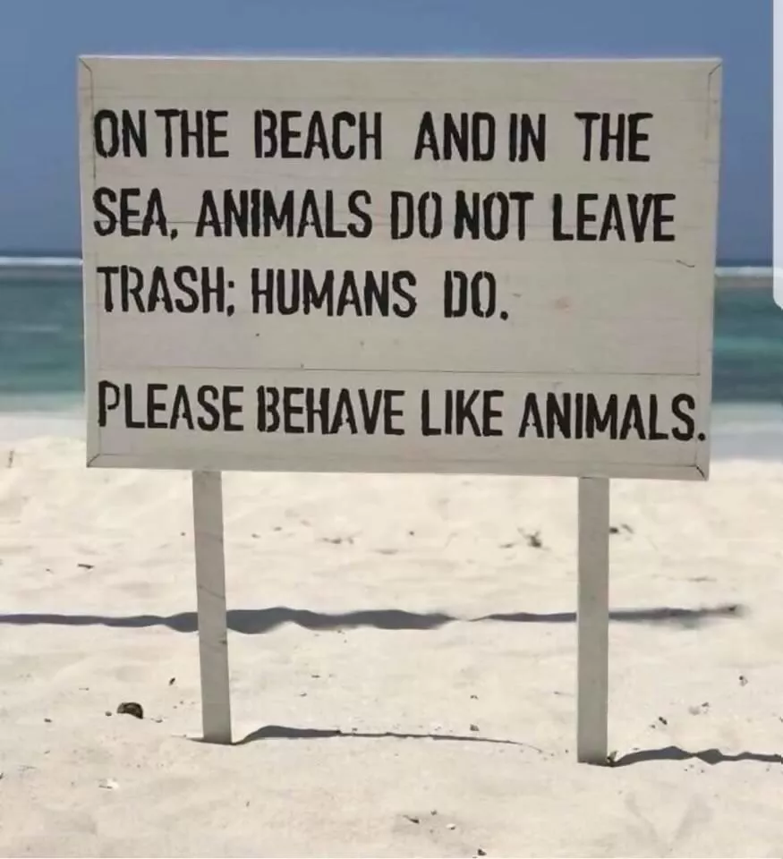 Makes total sense! ... If you don't overthink it. posted by NaturistPictures