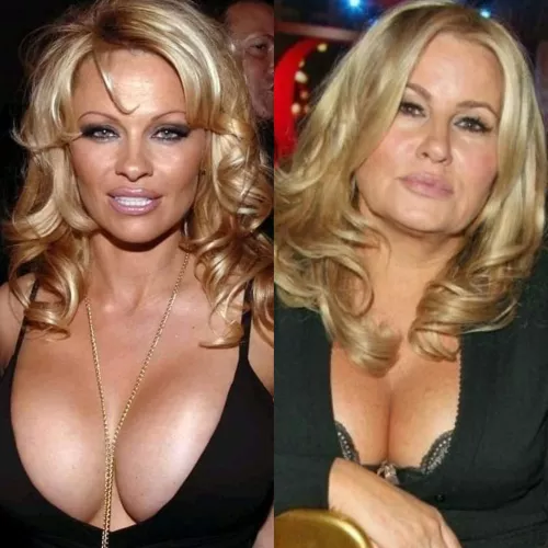 Pamela Anderson vs Jennifer Coolidge by wise_memer