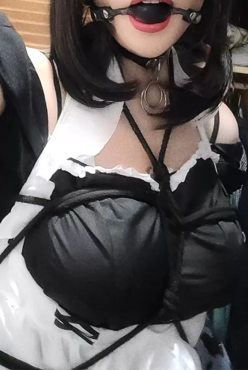 Prepared to greet master after work - Because a proper greeting isnt done with words by subhentaikitty