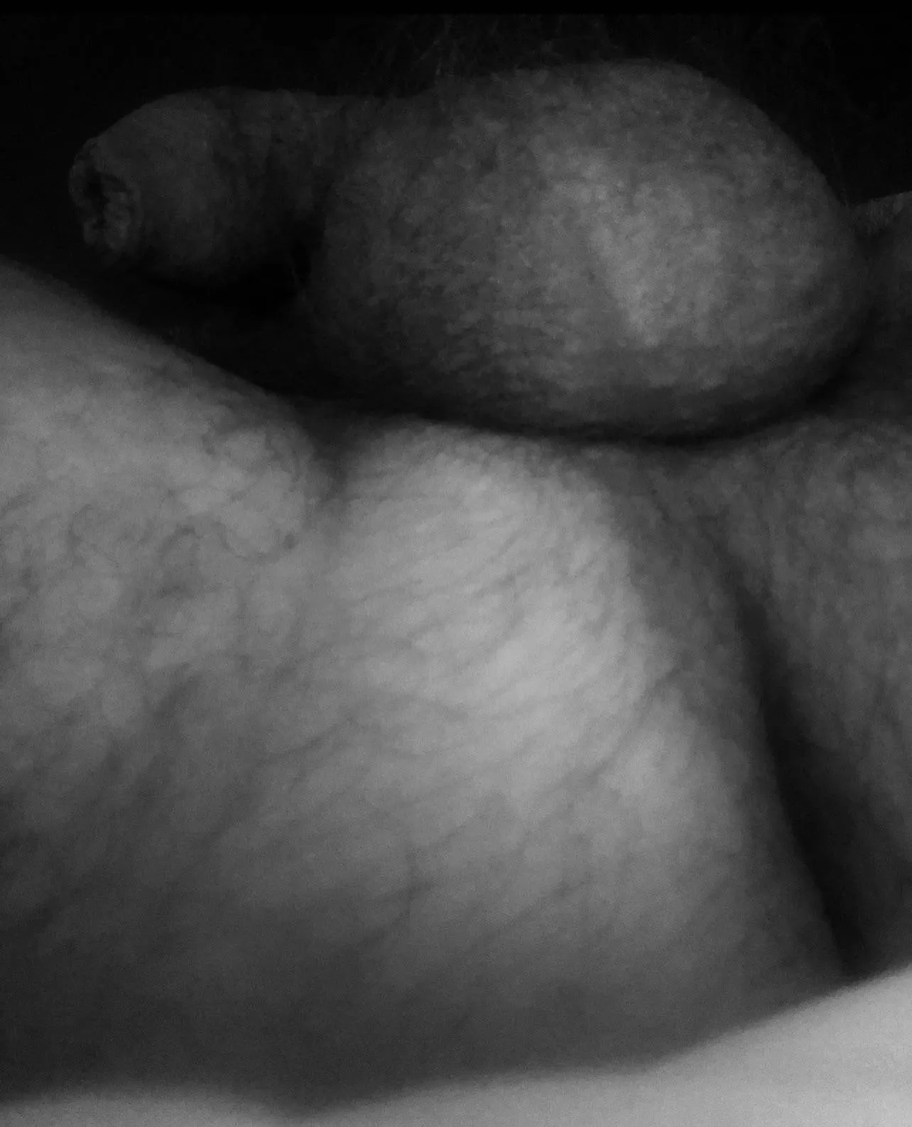 Slide it right in posted by curiousman1968