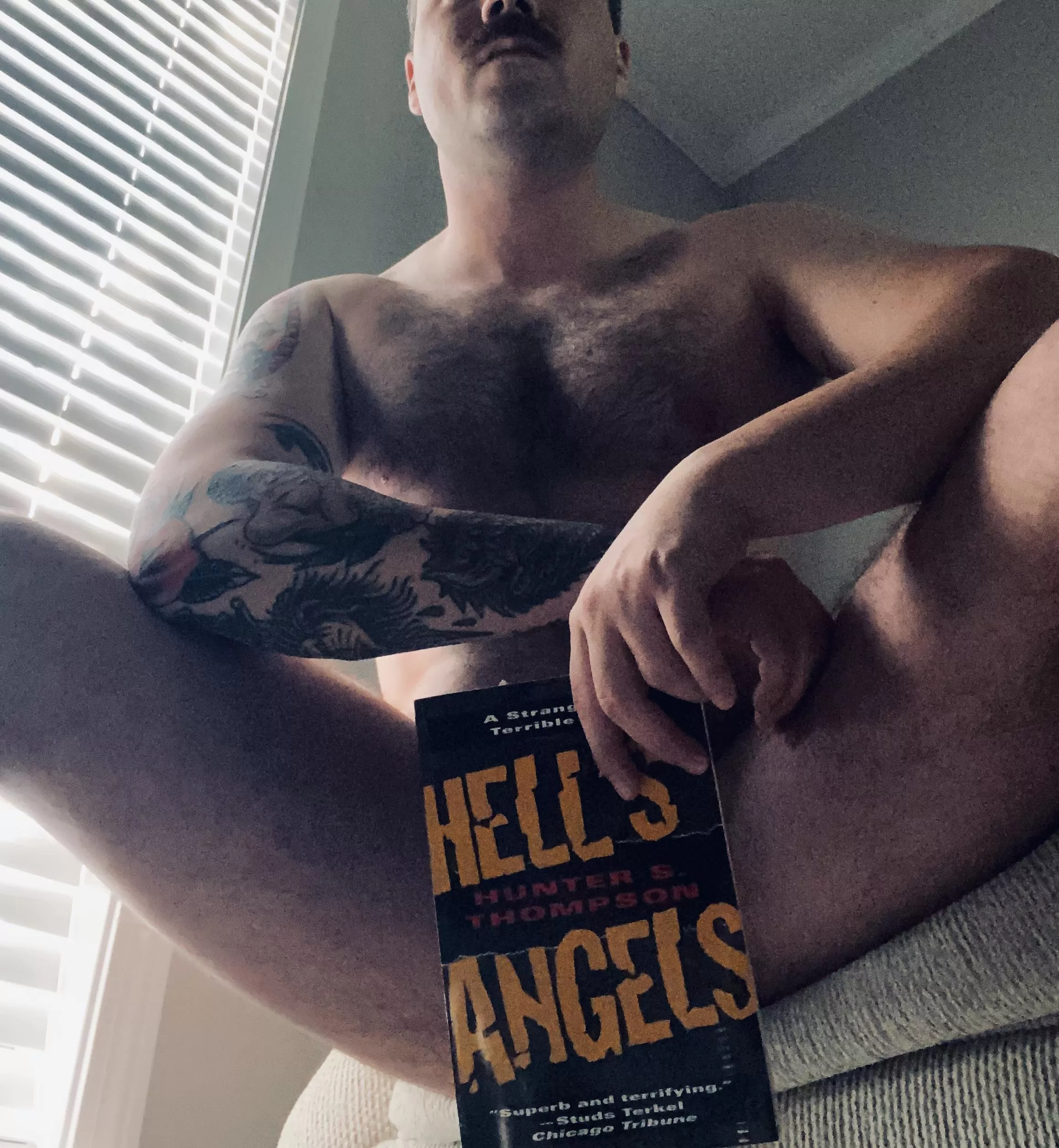 Talk wordy to me and I’ll lose all shelf control. posted by Kurt_Wood