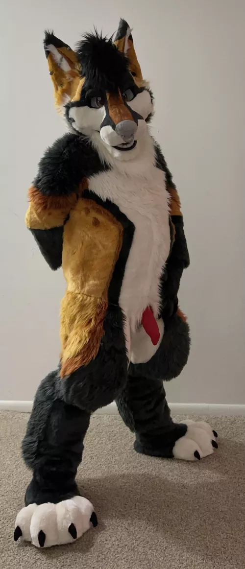 This fox is a little pent up after Furrydelphia by Razor_of_Occam