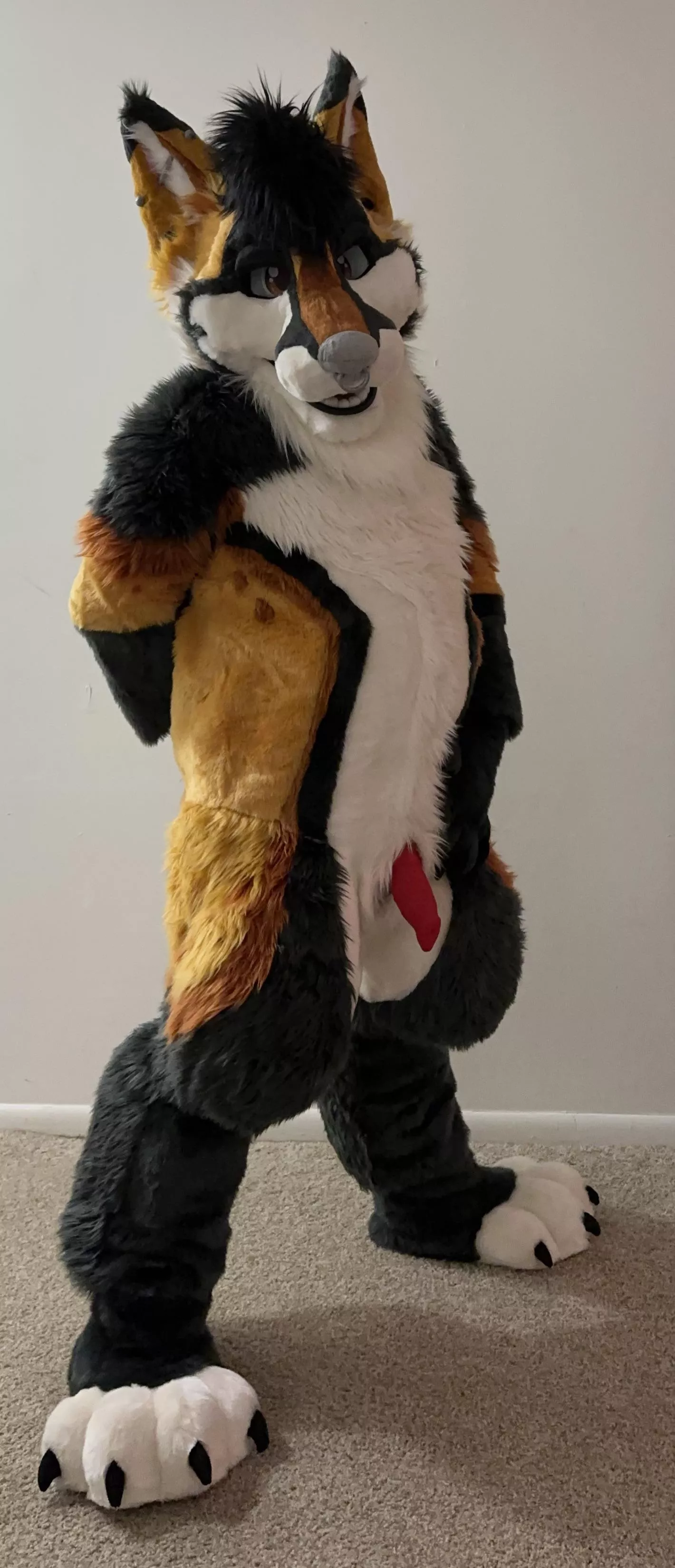 This fox is a little pent up after Furrydelphia posted by Razor_of_Occam