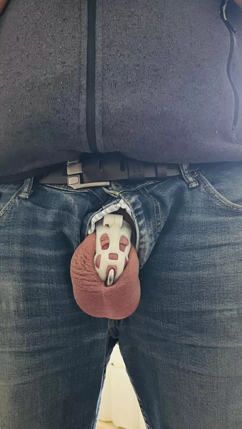 23 of 25 | At work 🤭🐶 by Bavarian_Puppy