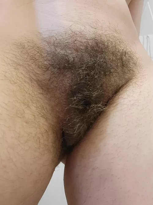 Don't you just want to get lost in it? by electronicnotetaker