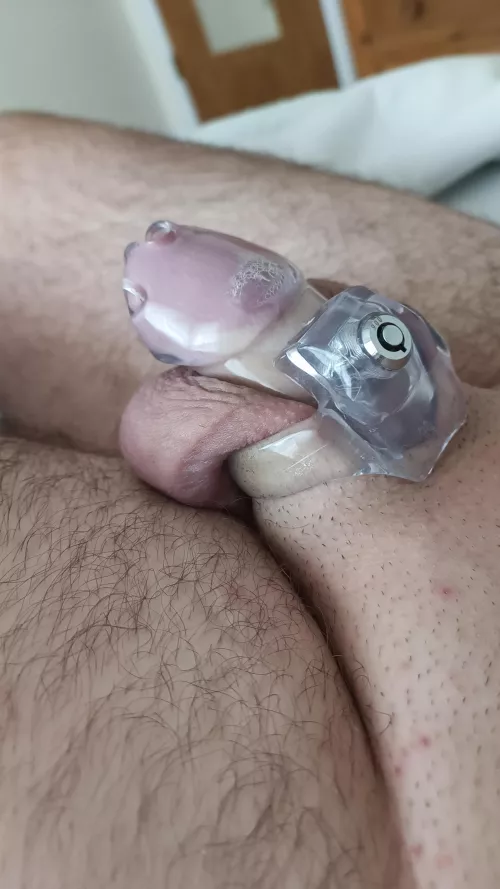 First 24h by VOID_IsBest