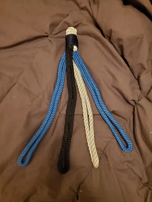 Had a few extra pieces of rope. So they got repurposed. Rope flog for the win!🤣🤣 by twiztedshibari