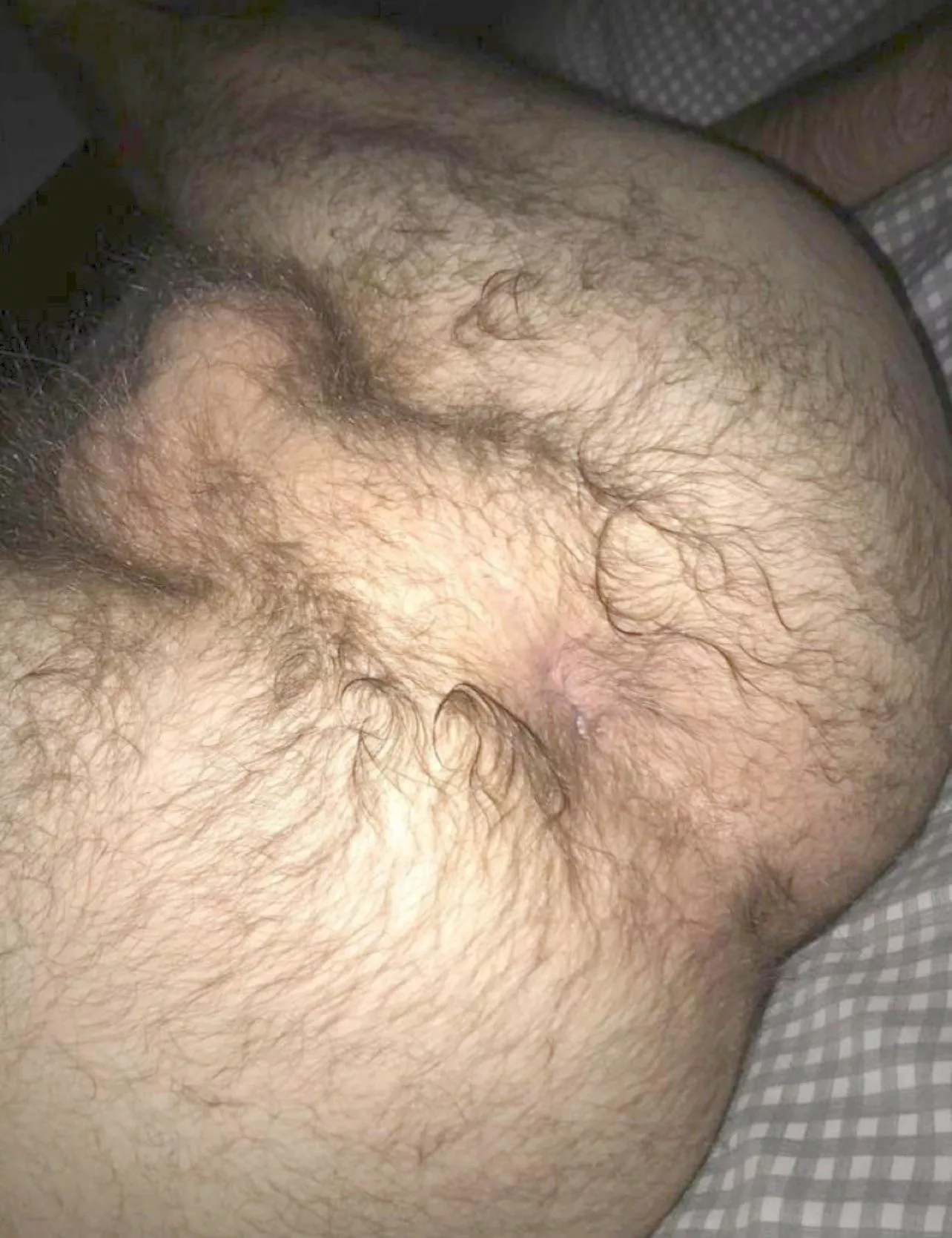 How hairy do y’all like it? posted by Straight-curious529