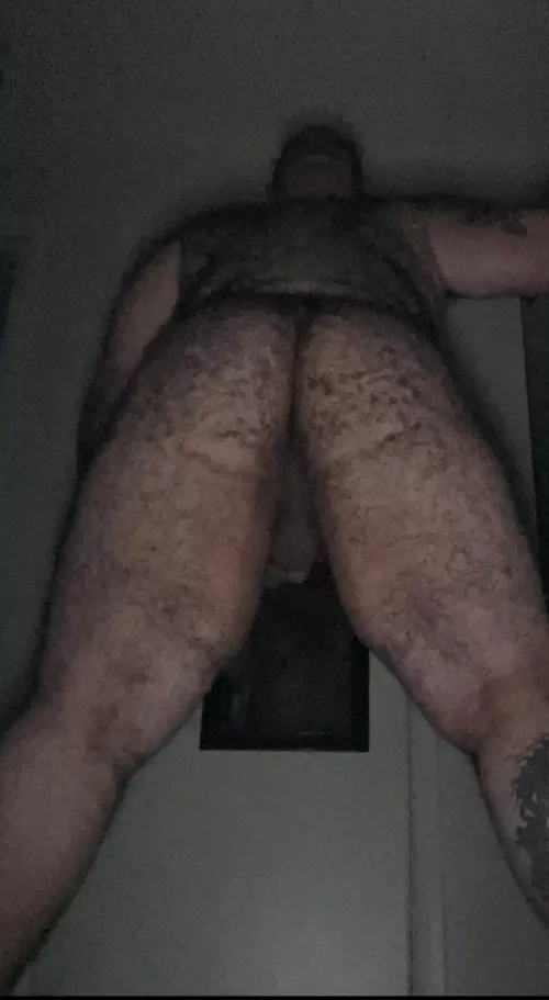 Hump Day🐻🍑 by bigmikemccarthy