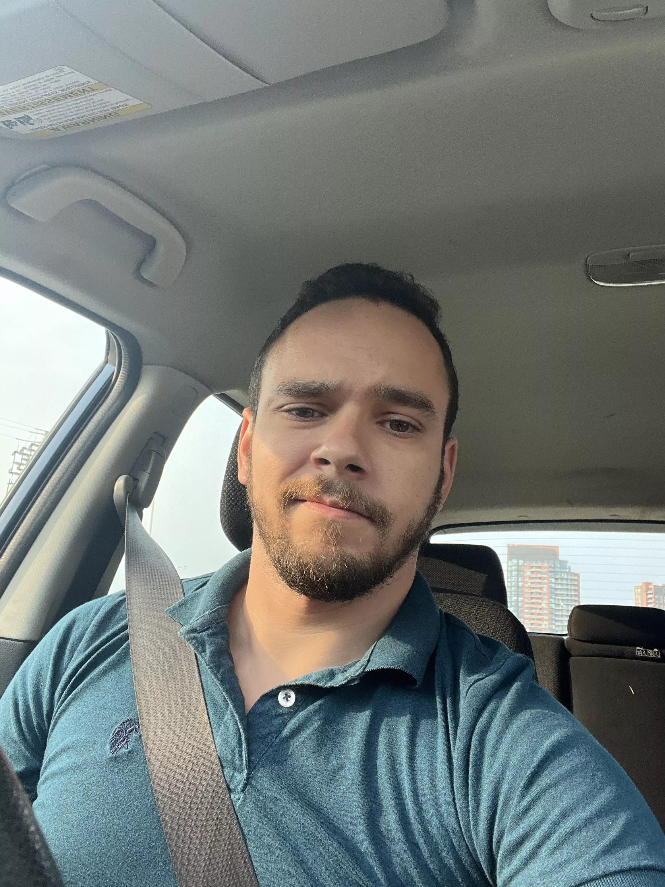 It’s a nice day for a drive and a hike. Wanna hop in? posted by jackness_monster