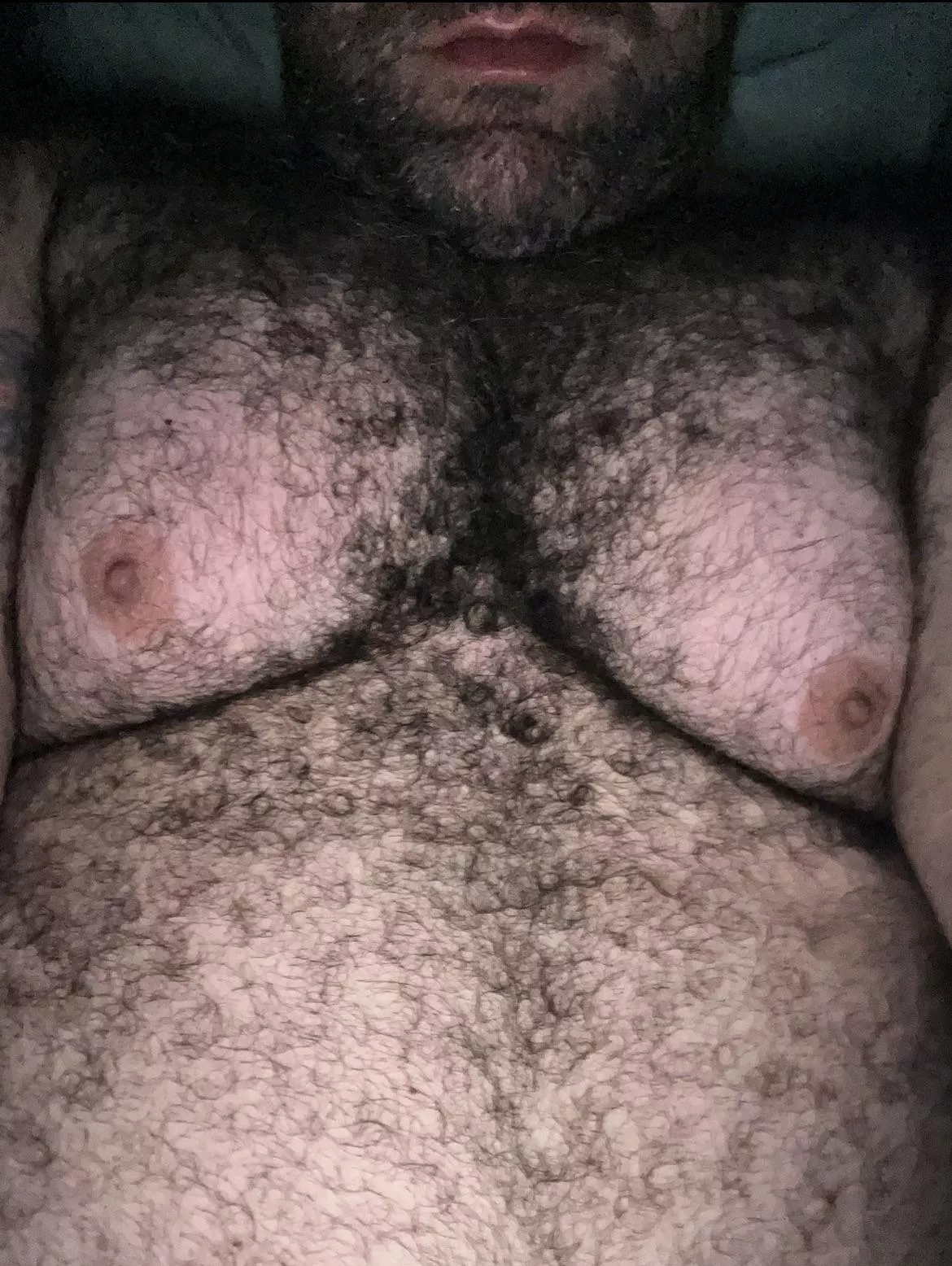 It’s Titty Tuesday!! posted by bigmikemccarthy