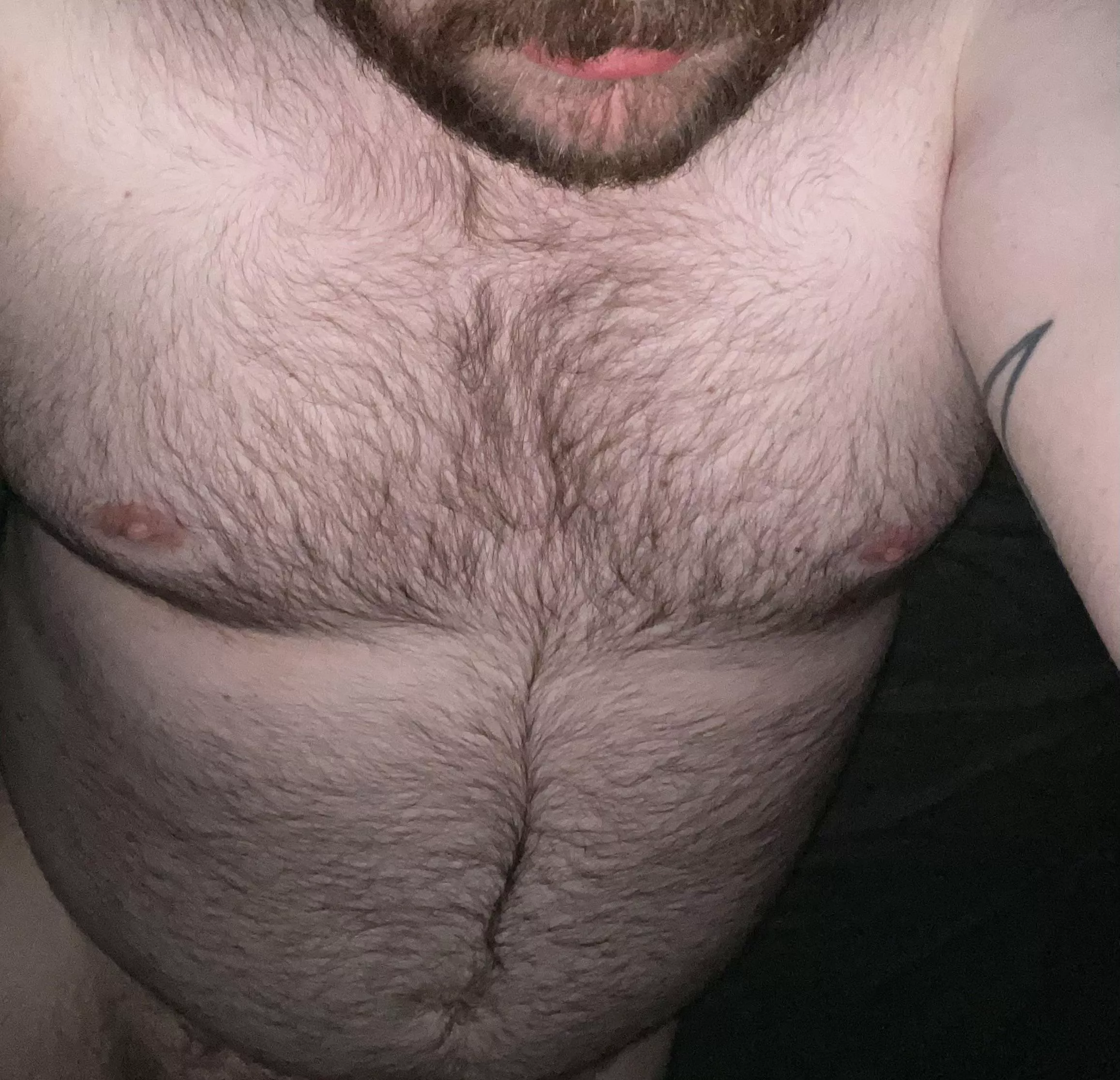 Not sure if I’m bear enough for you guys? posted by slipndip12