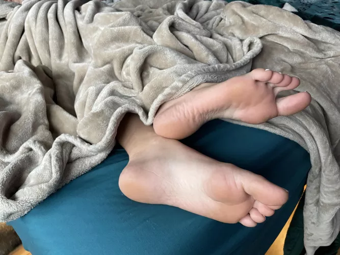 Tickle me to wake me up by Thedivinefoot