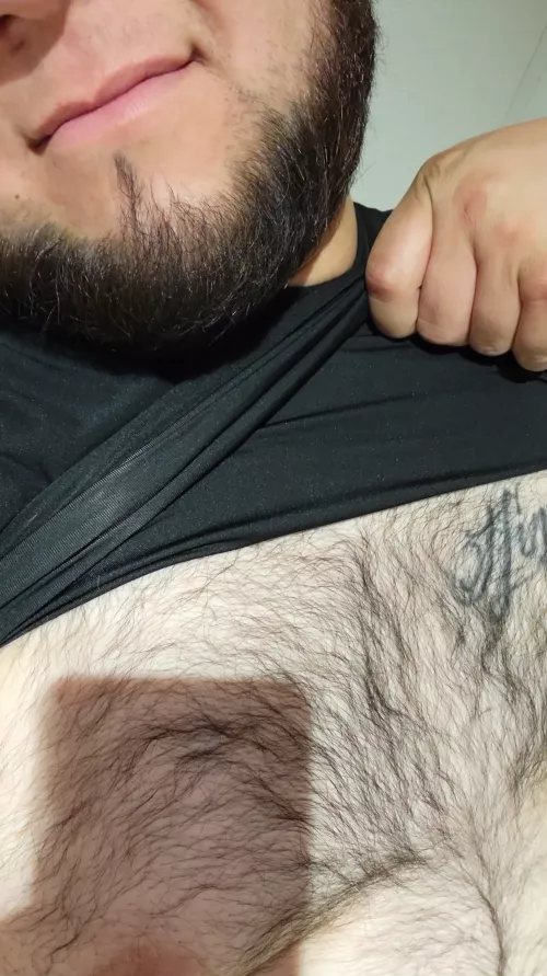 What do you think of my hairy chest? by Mr_RedRose13