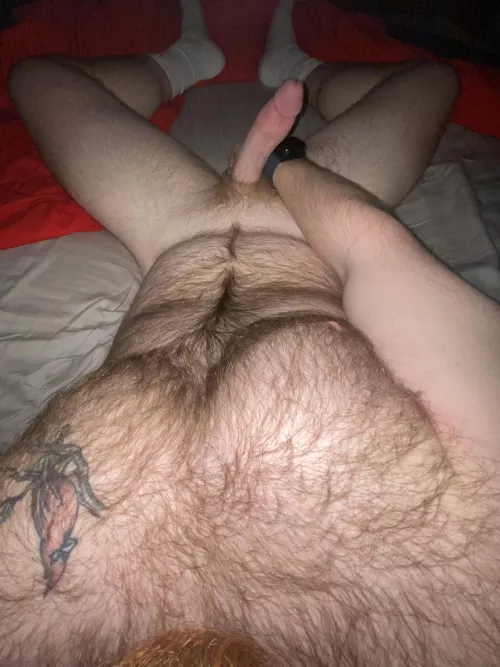 Who wants to cuddle?? by Puzzleheaded_Ad_9423