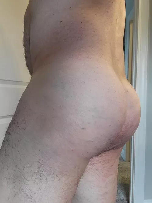 Wild Wednesday by skibumhi