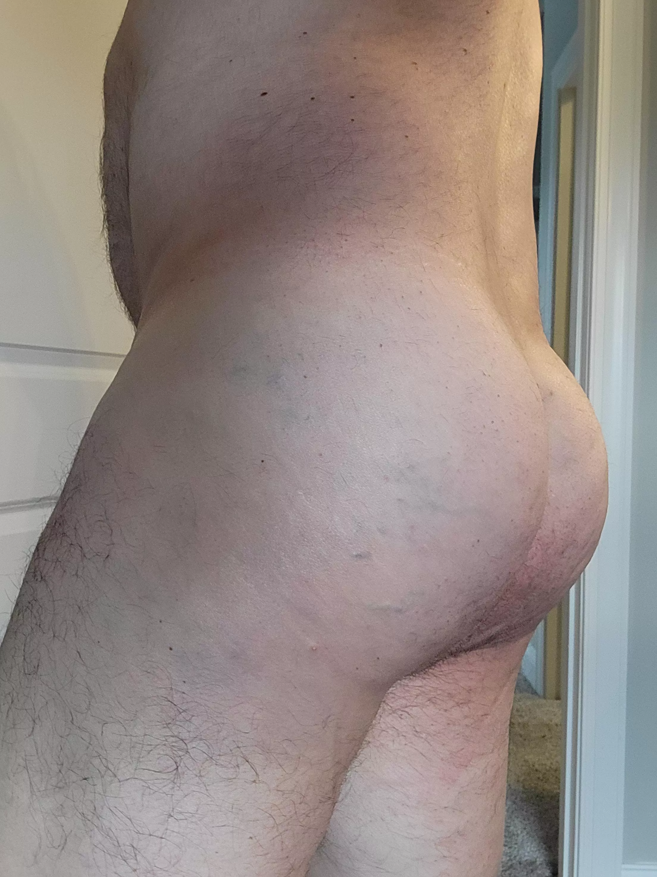 Wild Wednesday posted by skibumhi