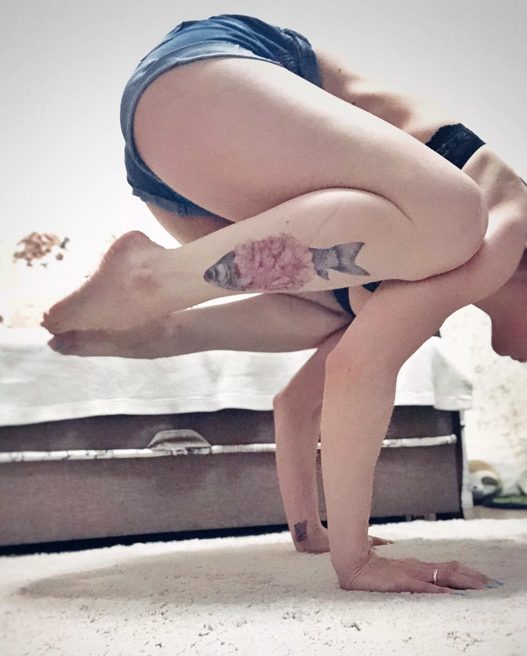 Working Tuesday: Ready.. Steady.. Go!.. posted by Nerdbird_OF