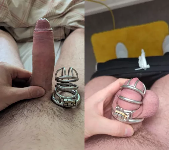 1 cage at a time ;) by Farangbk