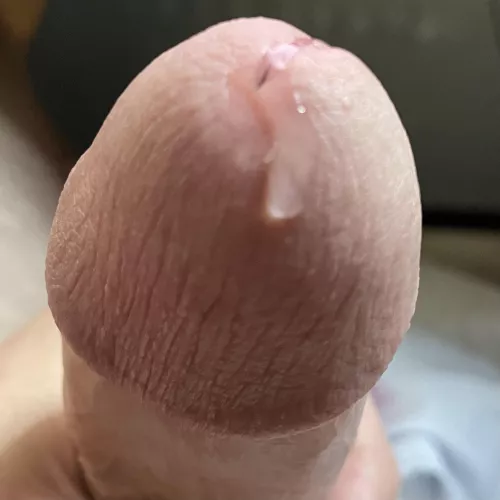 A nice close up view. by hoohoohoo85