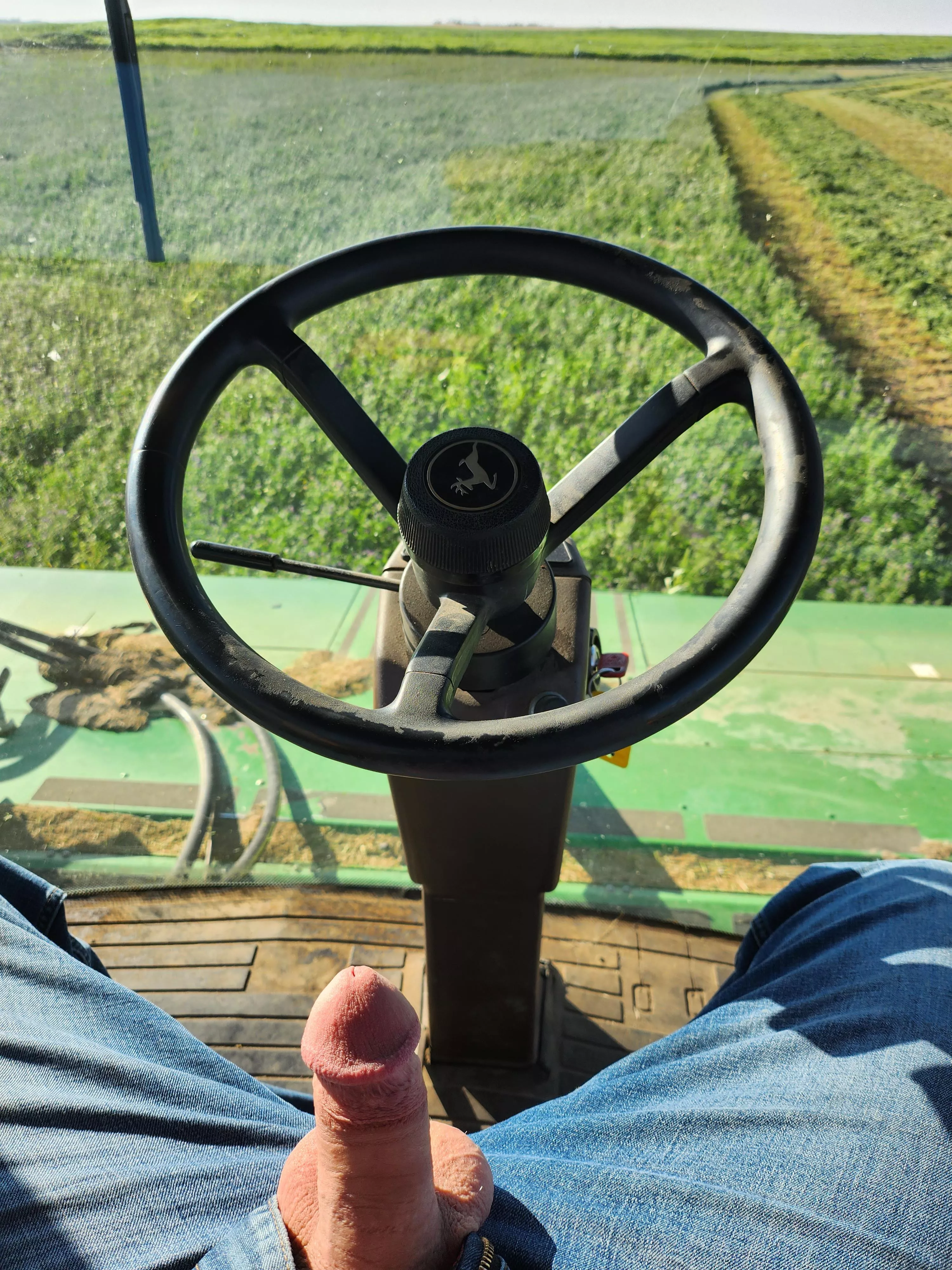 Any one want to make hay with me [25] posted by Turbulent_Version345