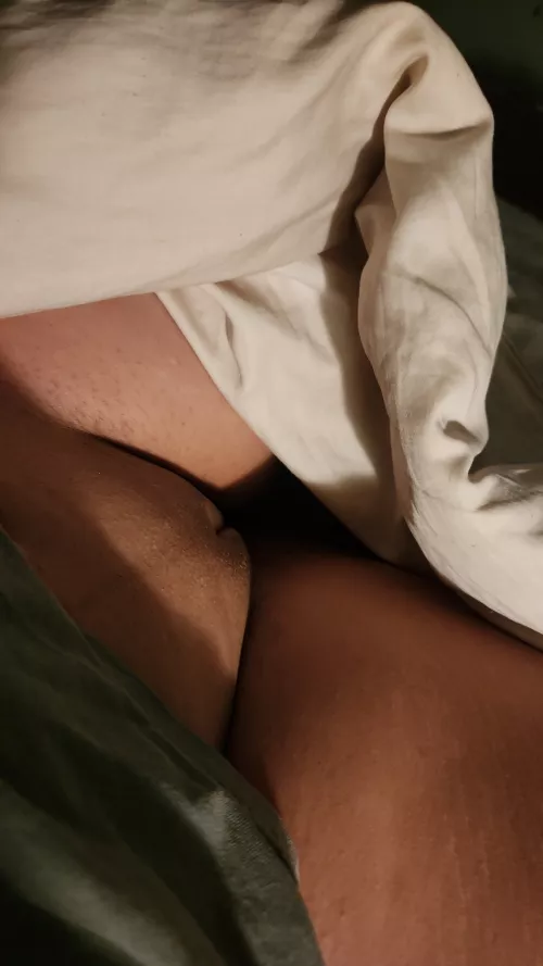 Freshly smooth kitty by Ok-Marzipan9204