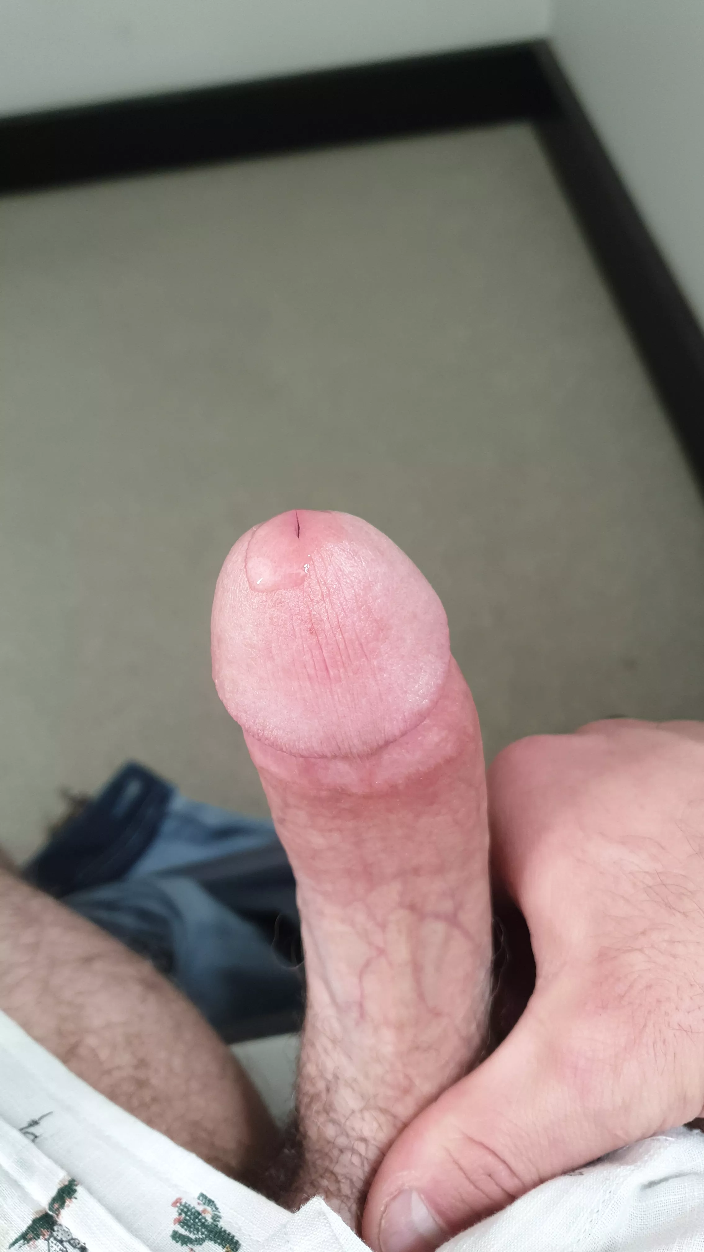 Good morning posted by Short-Bake1930