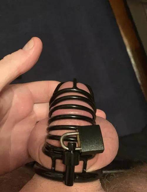 Help, I can’t find the key 🥺 by CuriositySaves15