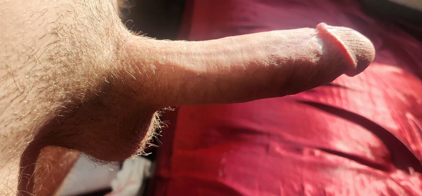 Morning glory ? posted by alongsquirts69