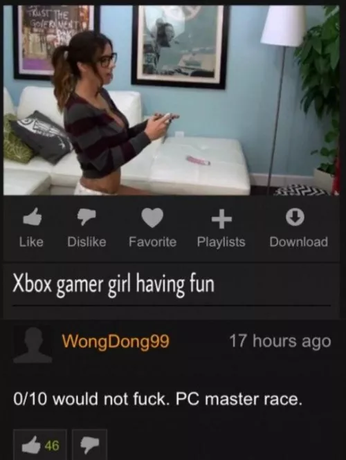 PC master race by kokkaAnaspida