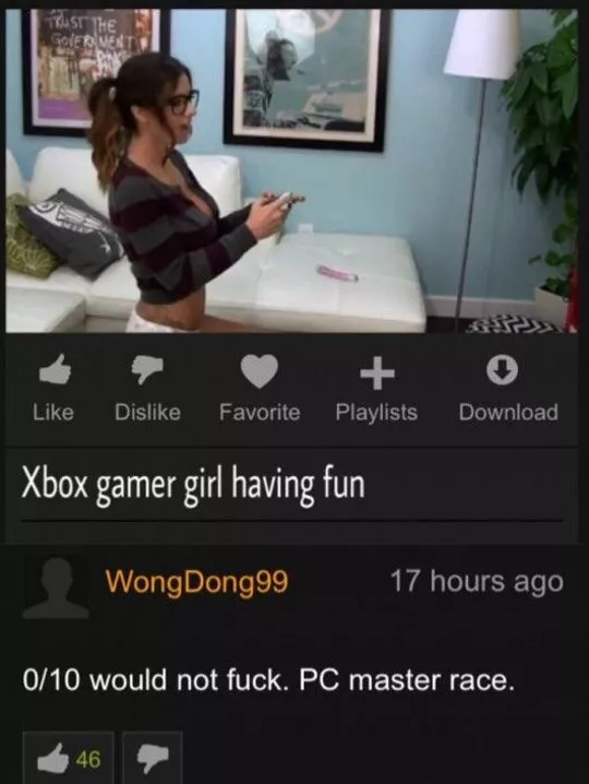 PC master race posted by kokkaAnaspida