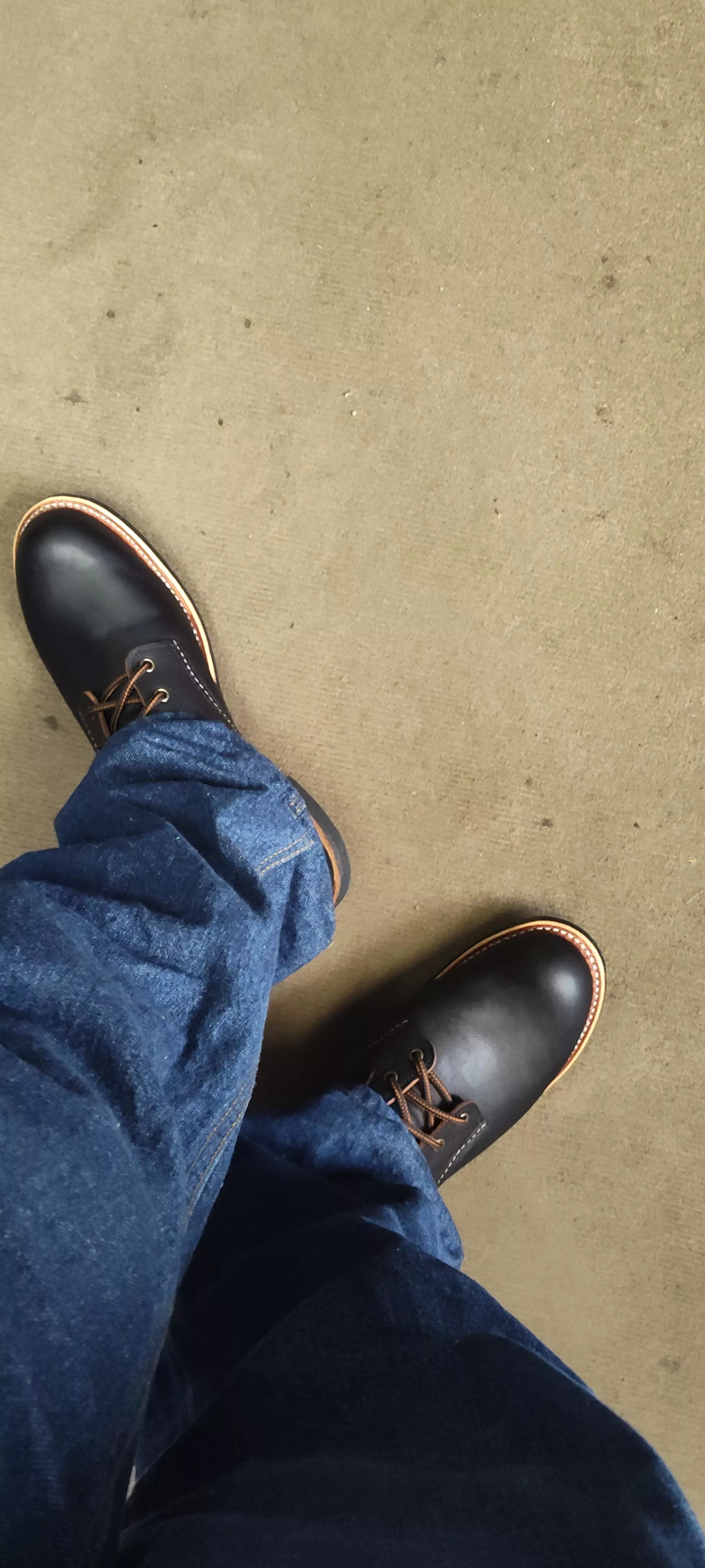 Redwing blacksmith in prairie black tea-core 1 hour old posted by Key_Scientist2898