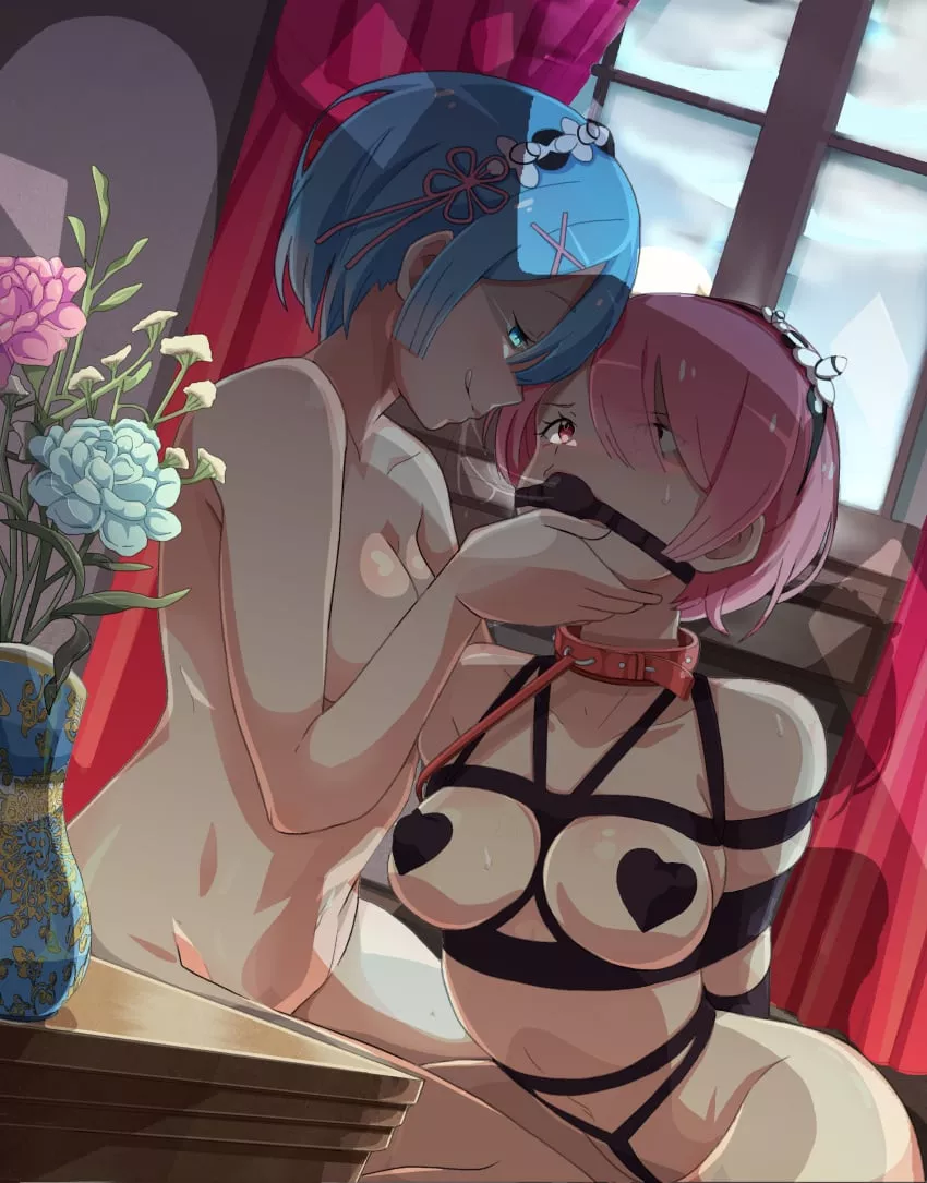 Rem taking the charge in their sisterly bond posted by Xkaspergaming