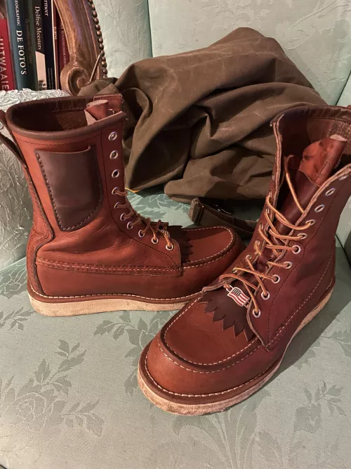 Show by AnimatorWide