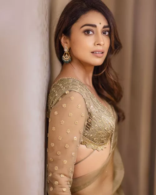 Shriya Saran by Ludo-Ludico