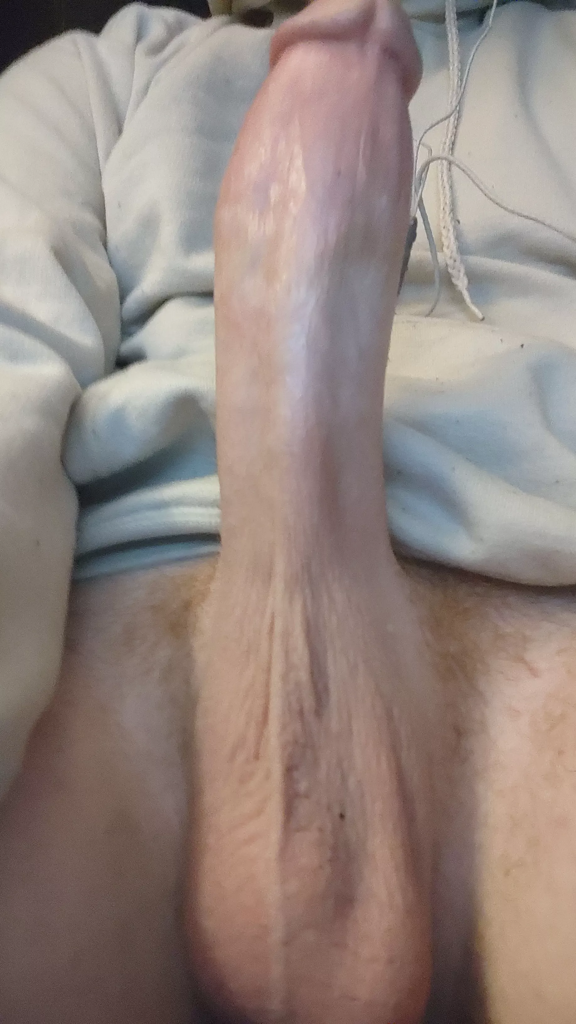 Some nice dick posted by mildly_hung