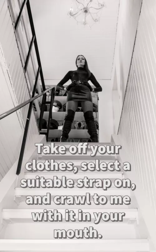 Take off your clothes by thebaronkrelve