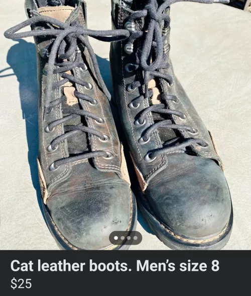 Umm, I'll pass. My cats won't like it. by partchimp