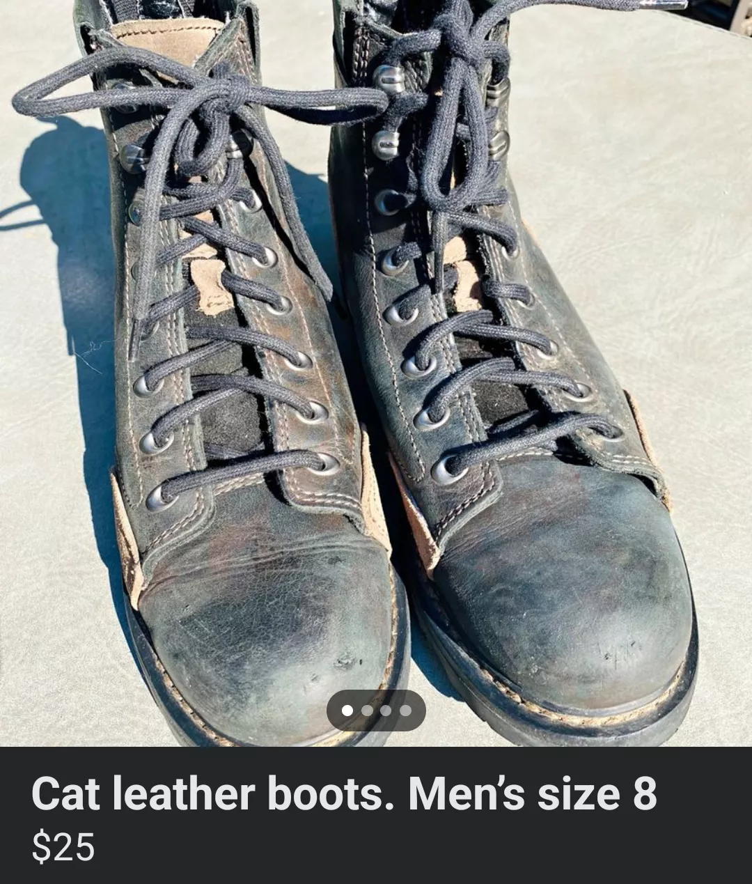 Umm, I'll pass. My cats won't like it. posted by partchimp