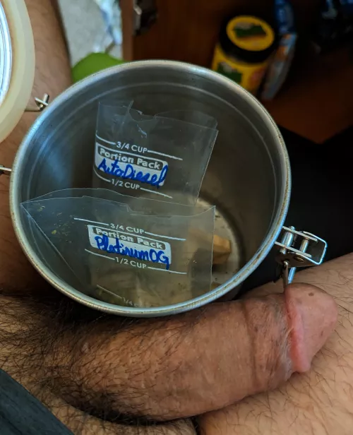 What would you pick? [M] by ElPervyChuco