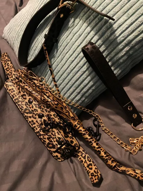 Who's a good doggy? by MistressIntensity