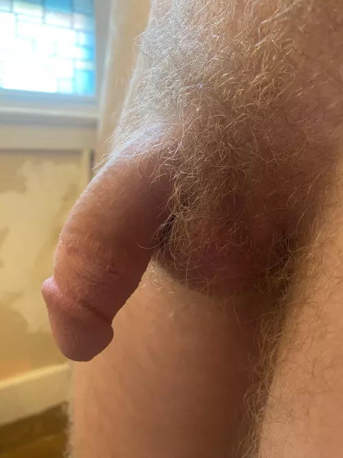 [23M] Should I trim my pubes, or let them grow? by abaki_luv