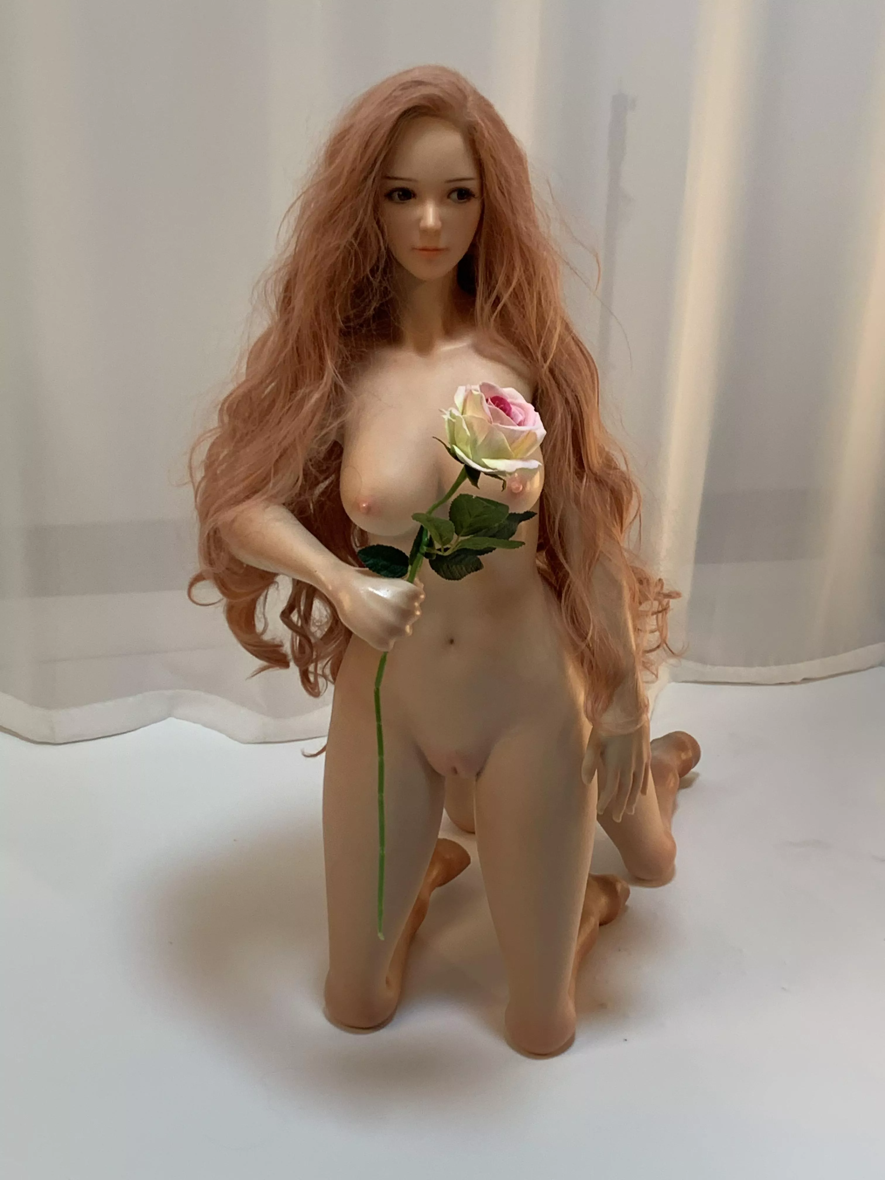 Accept flowers from Deer Girl? posted by Tobyice