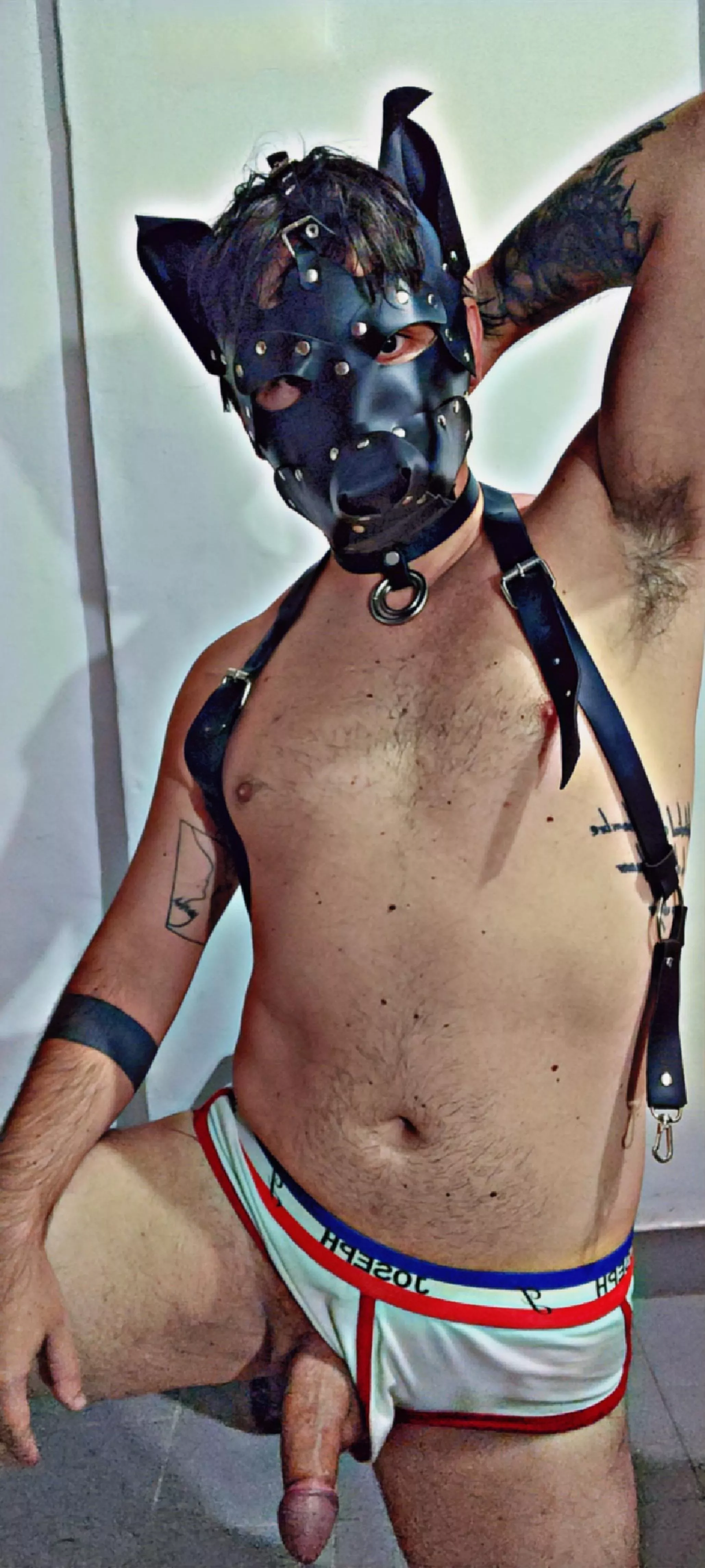 After a day at work, you get home but this kinky dog won't let you rest. posted by boyoftheT