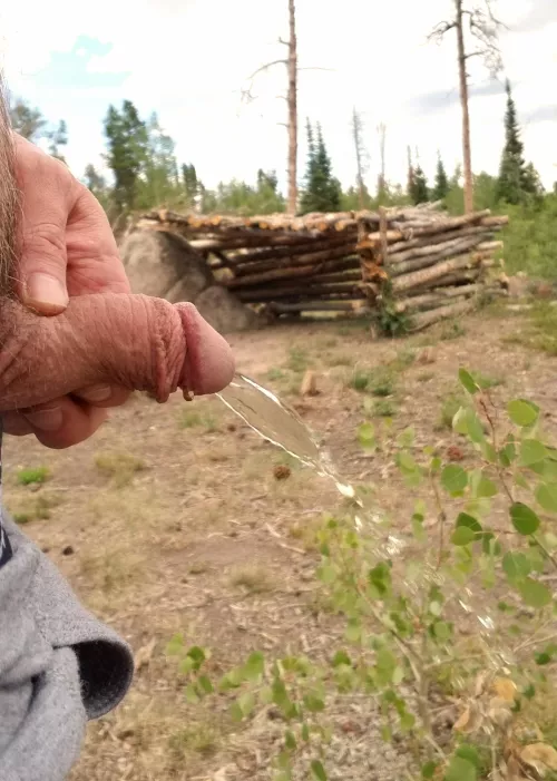 Camp Piss by JKPig66